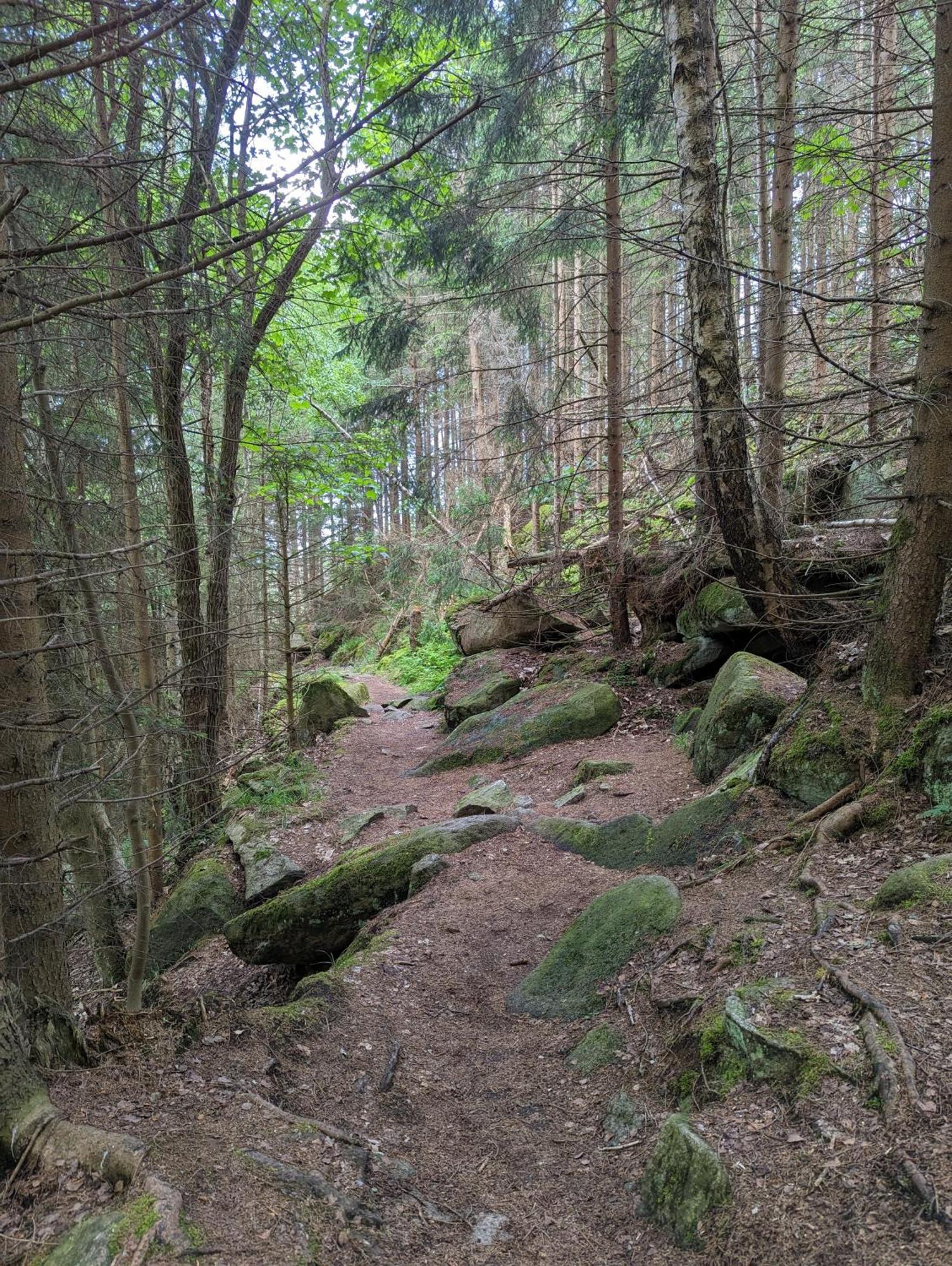 Waldgasthaus & Berghotel Steinerne Renne Wernigerode Luaran gambar
