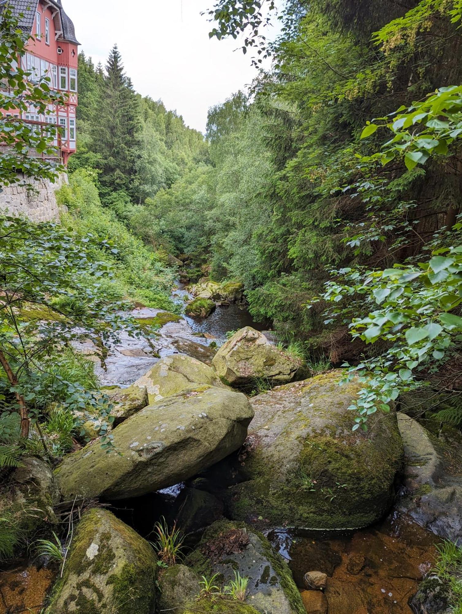 Waldgasthaus & Berghotel Steinerne Renne Wernigerode Luaran gambar