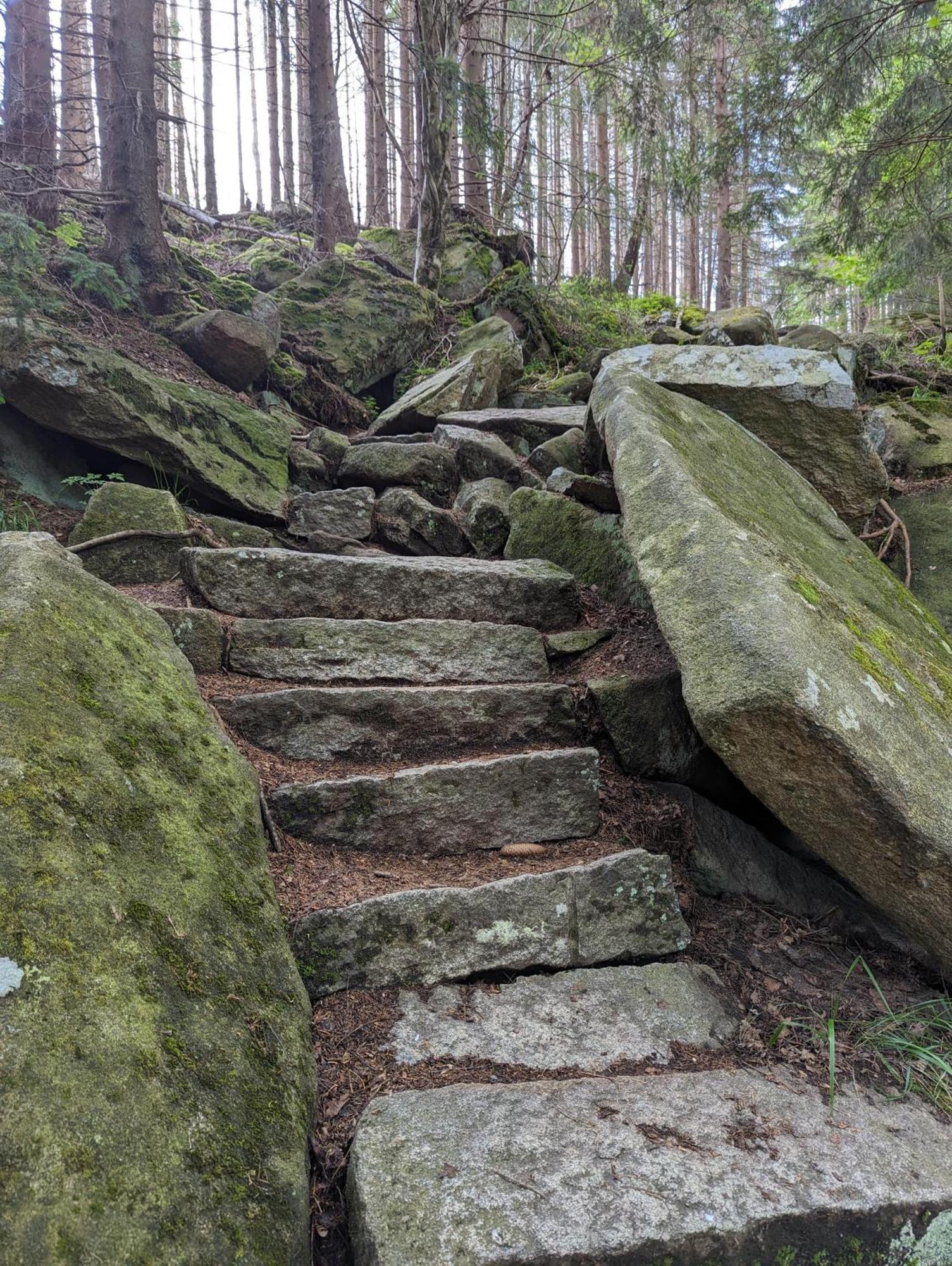 Waldgasthaus & Berghotel Steinerne Renne Wernigerode Luaran gambar